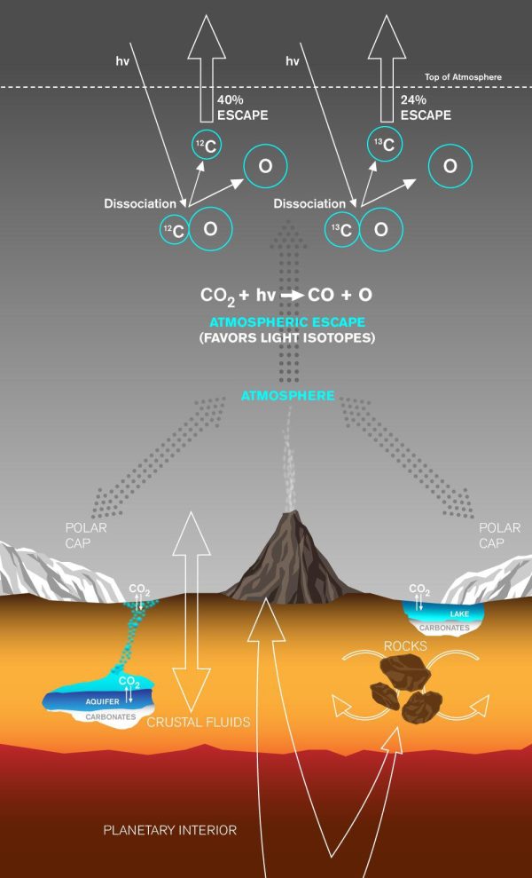 火星における炭素の交換・消失のプロセス